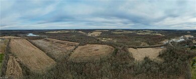 Public Land Behind Property