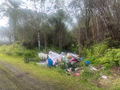 18-1272 Kauai St, Mountain View, HI 96771 - photo 5