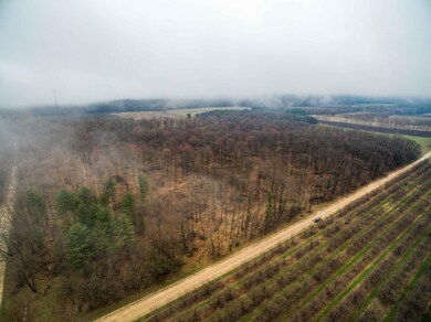 DJI_0041-2