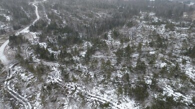 DJI_0440