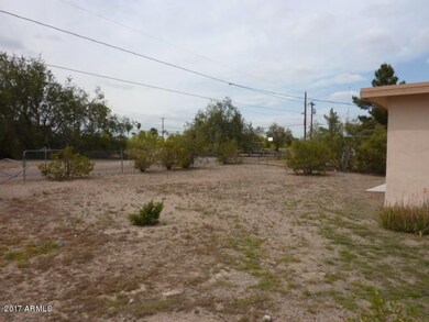 023-582978 Back yard