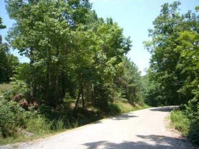 001-00638-000 Winn Creek Rd, Winslow, AR 72959 - photo 7