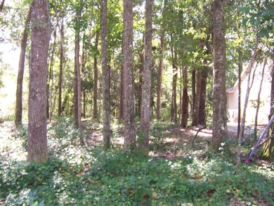 lot 6 Gooseneck Road 002