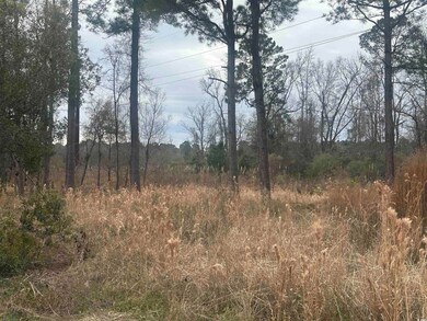 TBD Pleasant View Church Rd, Nichols, SC 29581 - photo 4