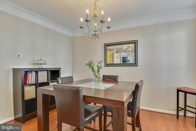 41957 Blue Flag Terrace, Stone Ridge, VA 20105 - photo 3