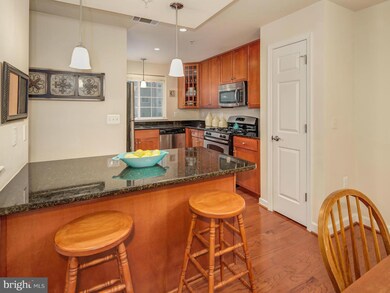 The West Village of Shirlington unit 404, Arlington, VA 22204 - photo 5