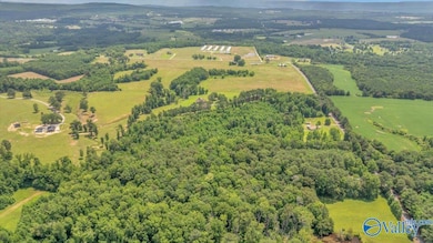 9.0 County Road 122, Fort Payne, AL 35968 - photo 6