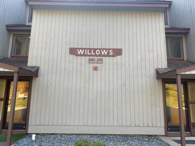 13 Snowtree Ln unit Willows K, West Dover, VT 05356 - photo 7