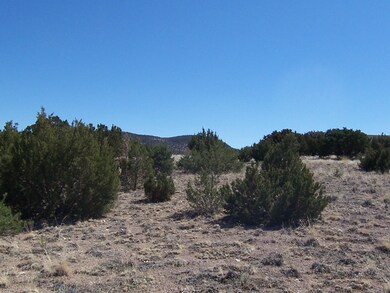0 Cerrito Rojo Rd, Placitas, NM 87043 - photo 4