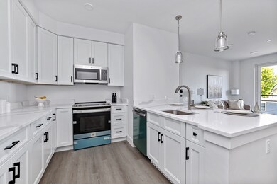 64 Alpine St unit 202, Boston, MA 02119 - photo 2