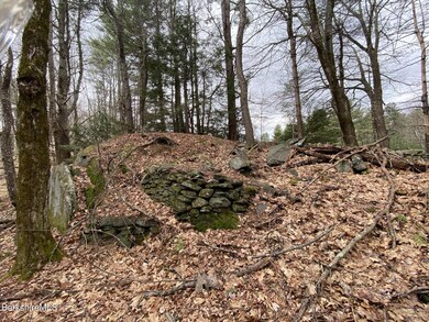 unlisted-address, Cummington, MA 01026 - photo 3