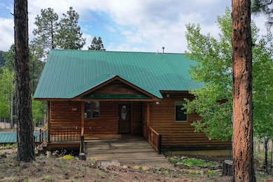 1043 Deer Ridge Dr, Bayfield, CO 81122 - photo 3