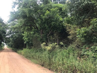 000 Brady Rd, Cordele, GA 31015 - photo 3