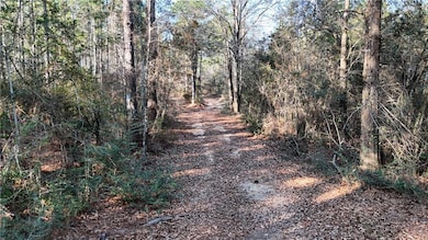 588 A Old Highway 26, Perkinston, MS 39573 - photo 5