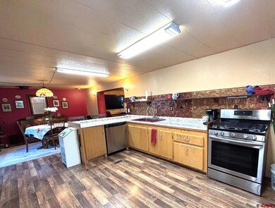 135 Aspenglow Ln, Ridgway, CO 81432 - photo 6