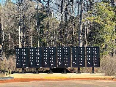 676 Gilgal Ln, Wellford, SC 29385 - photo 7