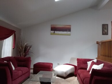 17961 Lavergne Ave, Country Club Hills, IL 60478 - photo 5