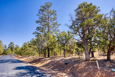 221 S Falling Leaf Road, Show Low, AZ