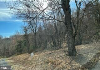 Tract A Ewing Dr, Baker, WV 26801 - photo 4