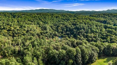 0 Evergreen Ln unit 7650667, Mineral Bluff, GA 30559 - photo 7