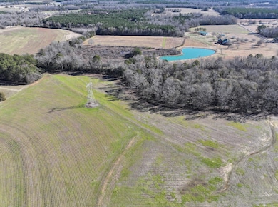 0 Stanley Rd, Caledonia, MS 39740 - photo 2