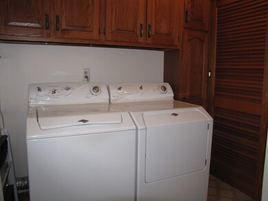 507 Cherry St, Tuscola, IL 61953 - photo 2