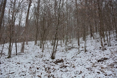 To Be Determine Sand Fork Rd, Roanoke, WV 26447 - photo 7