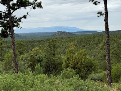 45 The Cliffs View, Glorieta, NM 87535 - photo 3