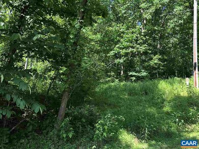 TBD Adial Rd unit 7, Faber, VA 22938 - photo 3