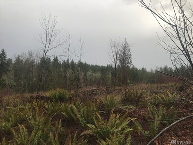 0 Kinsman Ct E unit 1395445, Roy, WA 98580 - photo 4