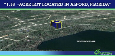 0 View Dr unit 25713052, Alford, FL 32420 - photo 2