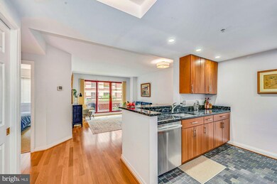 Emerson House on the Park unit 409, Washington, DC 20037 - photo 4