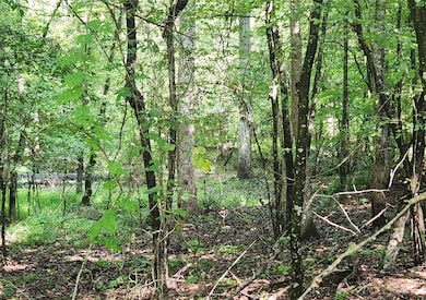 36 Southview Dr, Iva, SC 29655 - photo 3