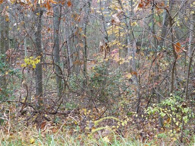 99 Blooming Laurel Dr, Hendersonville, NC 28792 - photo 5