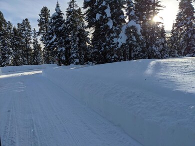 View from the road