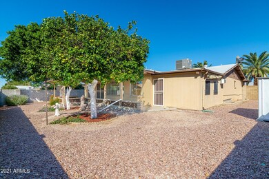 Backyard East side