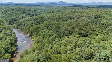 0 Peaceful Waters Ln unit 10454700, Demorest, GA 30535 - photo 4