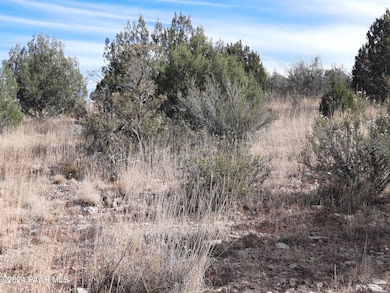 32563 Ancho Rd, Seligman, AZ 86337 - photo 2