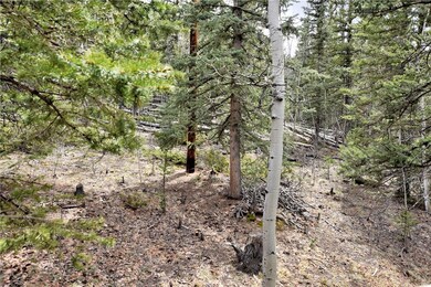 362 Kite Ct, Como, CO 80432 - photo 3