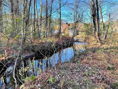 0 Emerald unit Map 16 Lot 169, Hillsborough, NH 03244 - photo 6