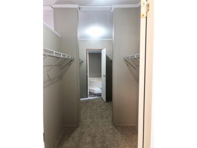 Walk in closet Master