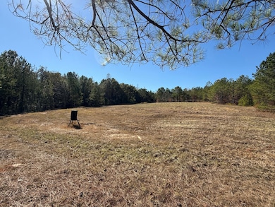 0 Backbone Church Rd unit 25581317, Gordo, AL 35466 - photo 5