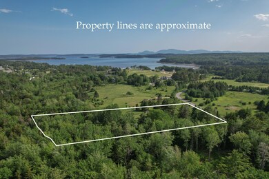 Property lines 2