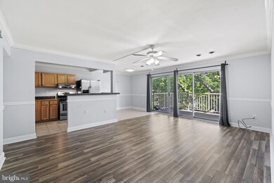 2626 Fort Farnsworth Rd unit 203, Alexandria, VA 22303 - photo 3