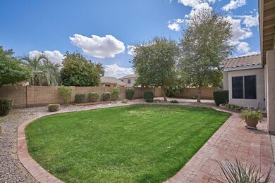 01 A Backyard