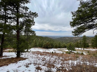 0 Mountain View unit B36 22-407, Trinidad, CO 81082 - photo 5