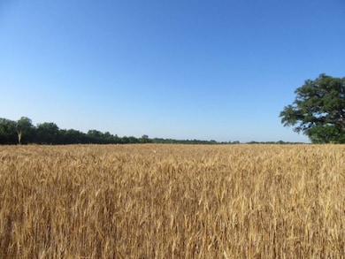 0 Mosley Rd, Uvalda, GA 30473 - photo 6