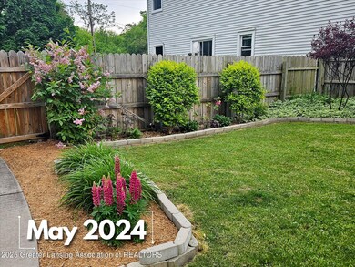 Back Yard - May 2024