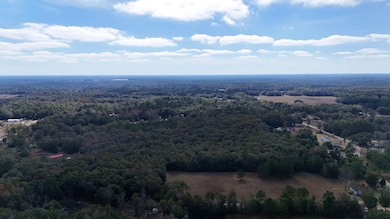 Cox Rd, Quincy, FL 32351 - photo 4