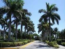 4197 N Haverhill Rd unit 204, West Palm Beach, FL 33417 - photo 3